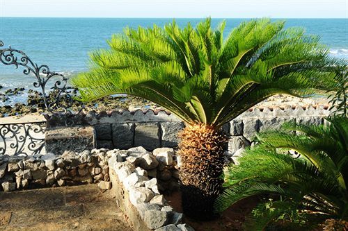 Hotel Barbanera Club & De Charme 3*